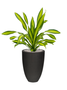 Plantenbak Charley  – Capi Urban Smooth Ø36×104 cm