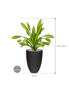 Plantenbak Charley  – Capi Urban Smooth Ø36×104 cm