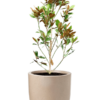 Plantenbak Little  Gem – Capi Waste Smooth Ø43×117 cm