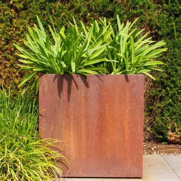 Plantenbak Carrez langwerpig 200x100x80 cm