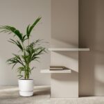 Plantenbak Kentia Palm – 130 cm – Ø21cm