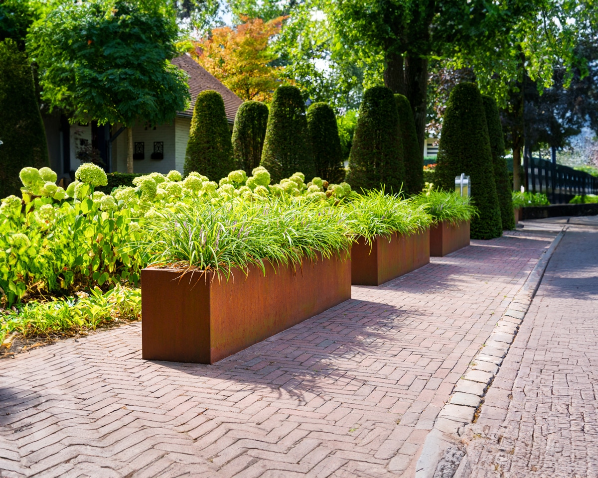 Herfstgroen met karakter bij Plesanto 