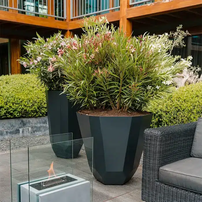 Het voorjaar komt eraan, tijd om buitenruimtes op te frissen 