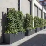 Trellis Gecoat staal Verticaal groen 200x50x200 cm - Afbeelding 2